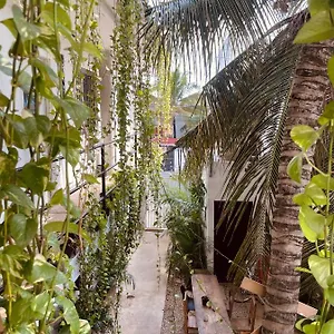 Anana Coliving Inn